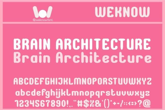 Brain Architecture: Where Whimsy Meets Professional Polish