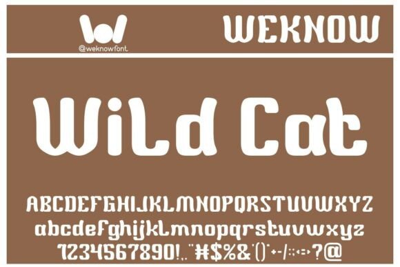 Wild Cat: The Retro Typeface with a Modern Roar